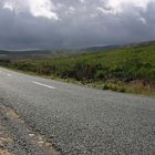 In den Wicklow Mountains