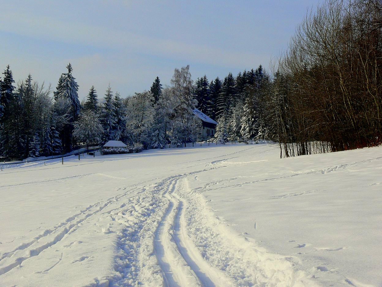 In den Winterwald