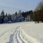 In den Winterwald