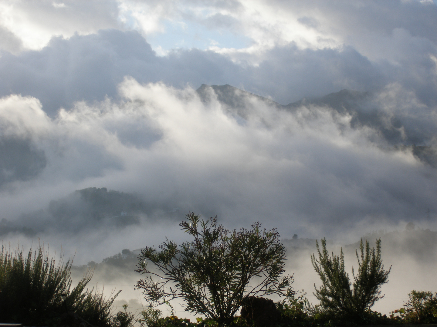 In den Wolken