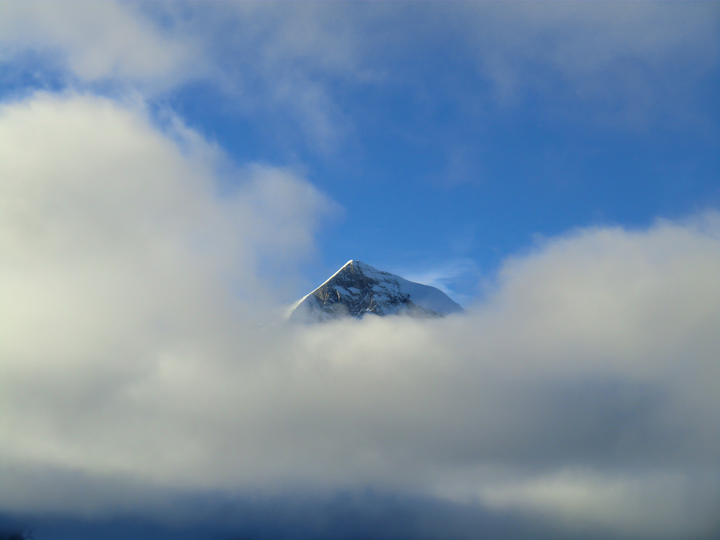 In den Wolken