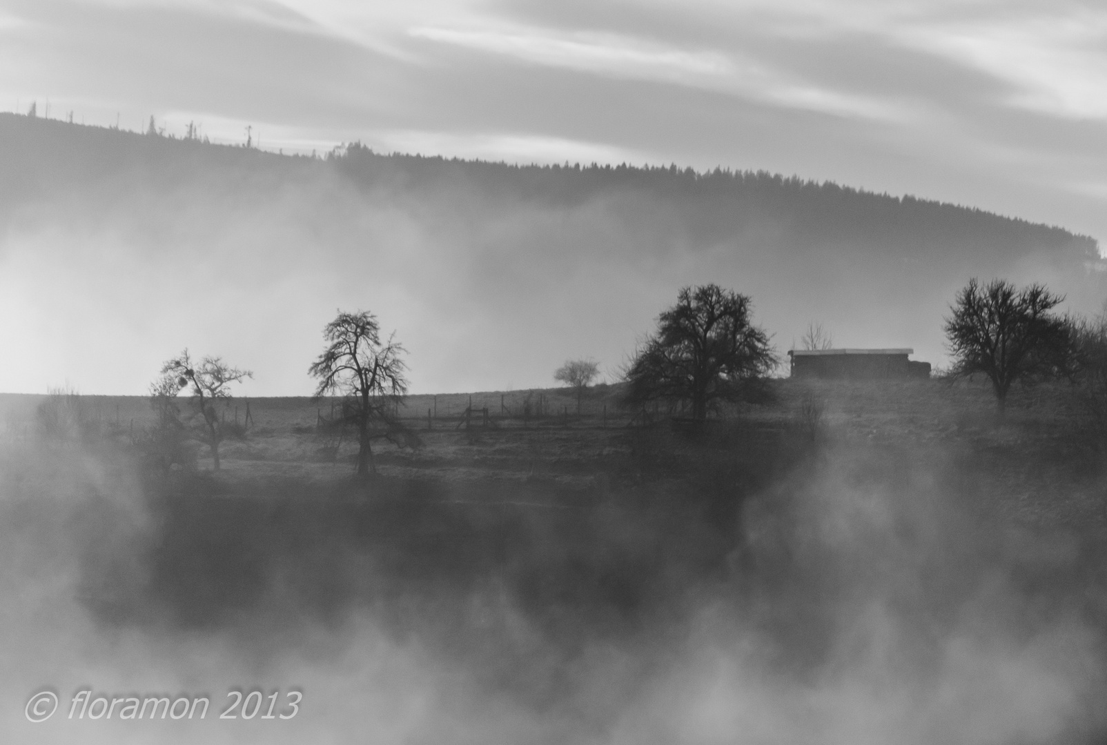 In den Wolken BW