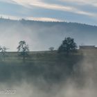 In den Wolken