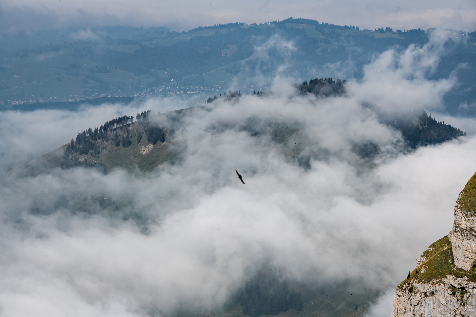 In den Wolken