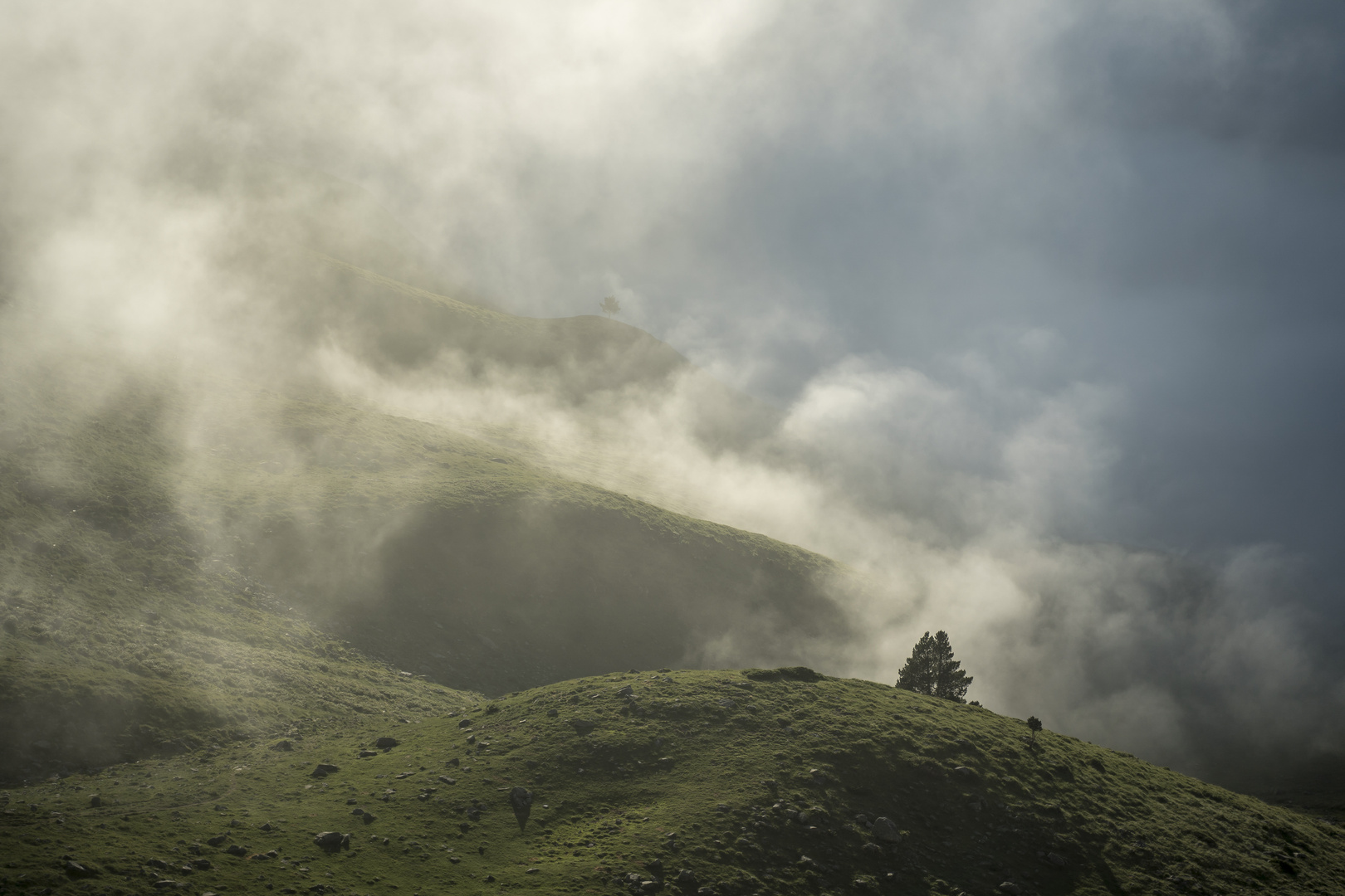 In den Wolken