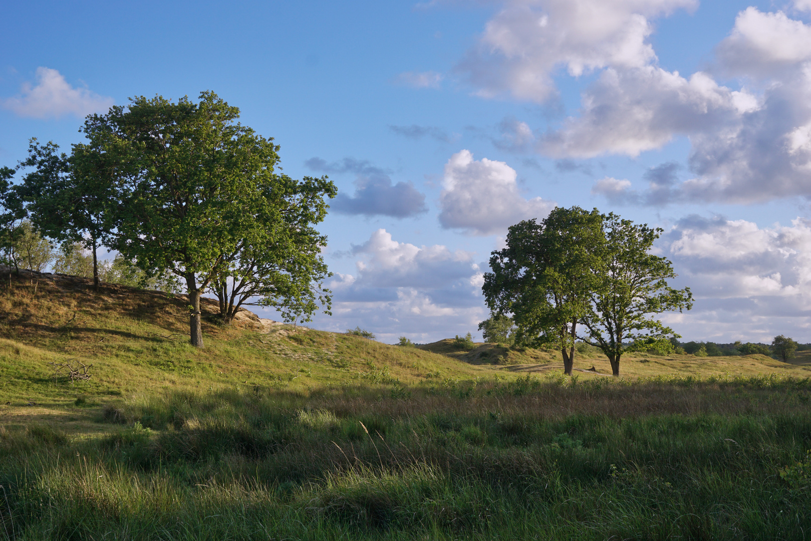 In den Zeepeduinen