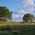 In den Zeepeduinen