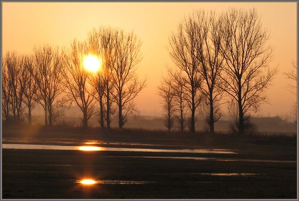 In den Zerrenthiner Wiesen