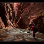 In den Zion Narrows