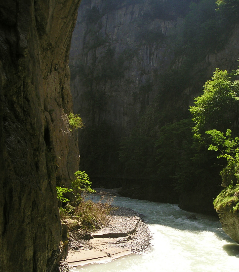 In der Aareschlucht