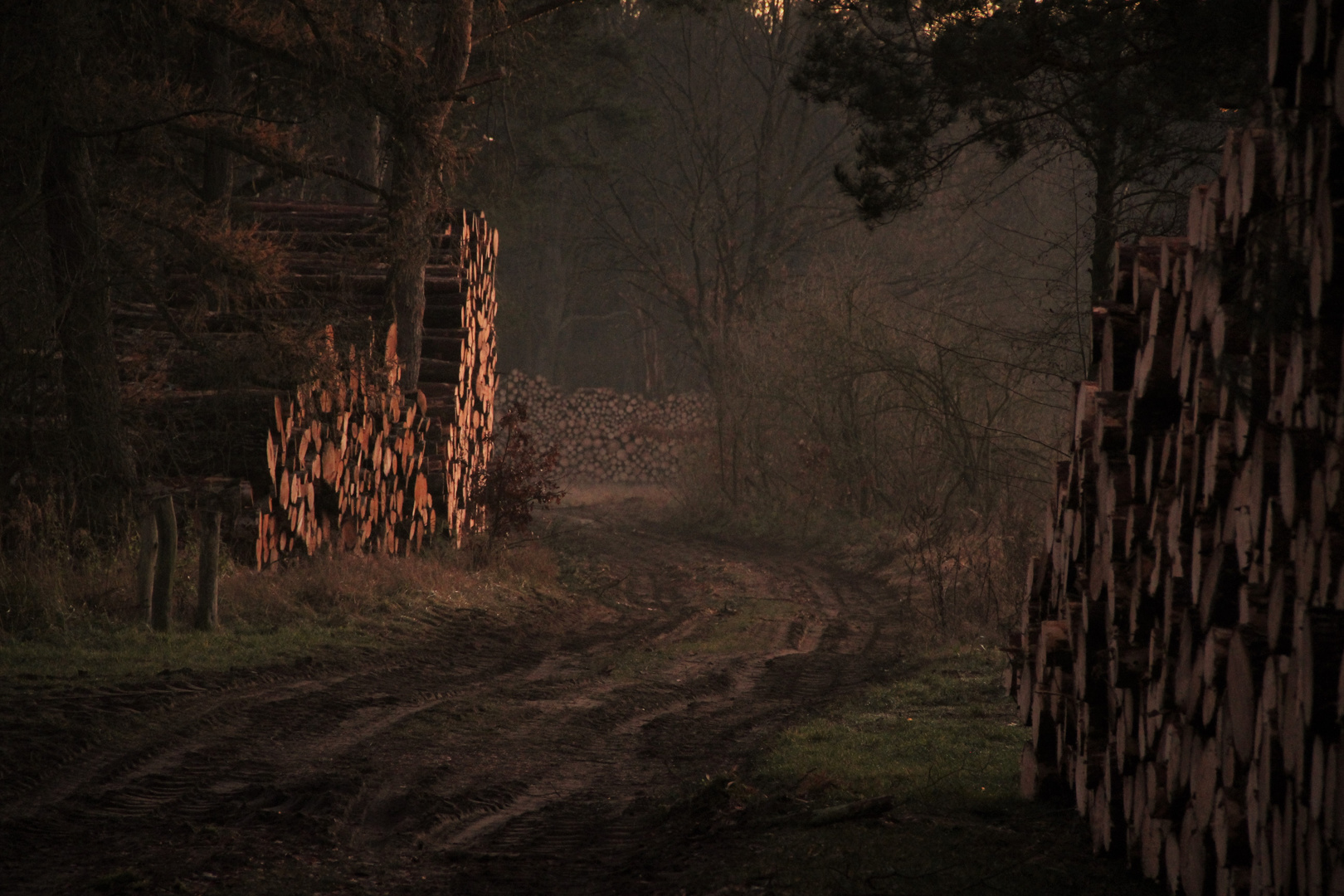 in der Abenddämmerung