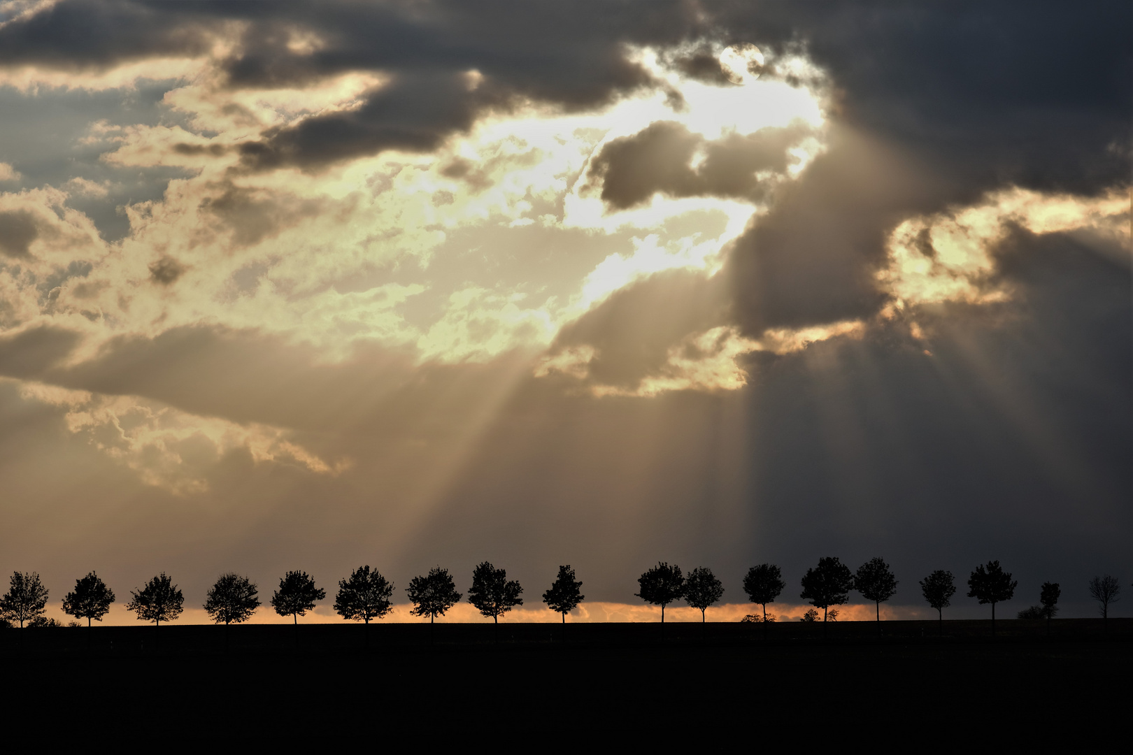 In der Abenddämmerung