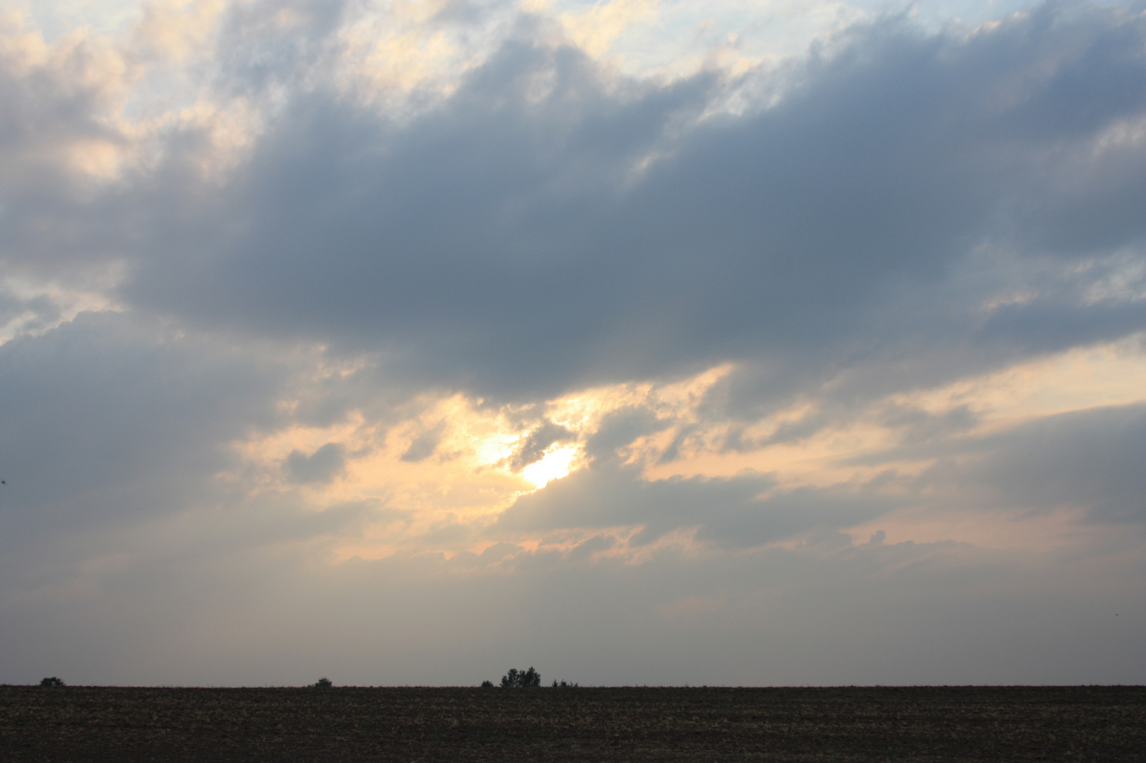 in der Abenddämmerung