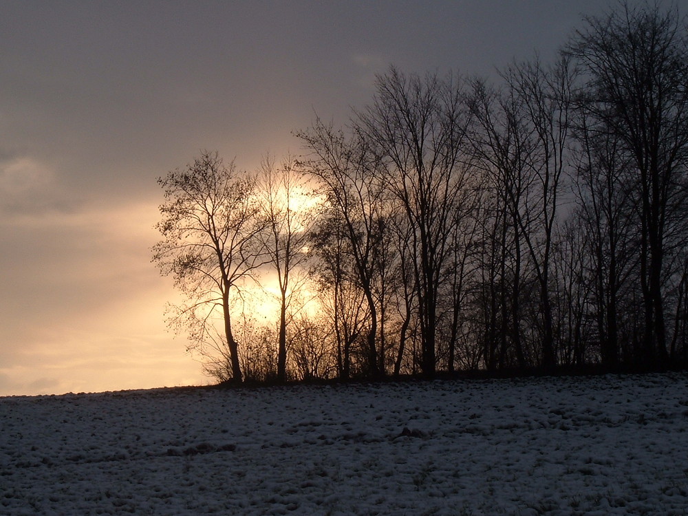 In der abendlichen Dämmerung