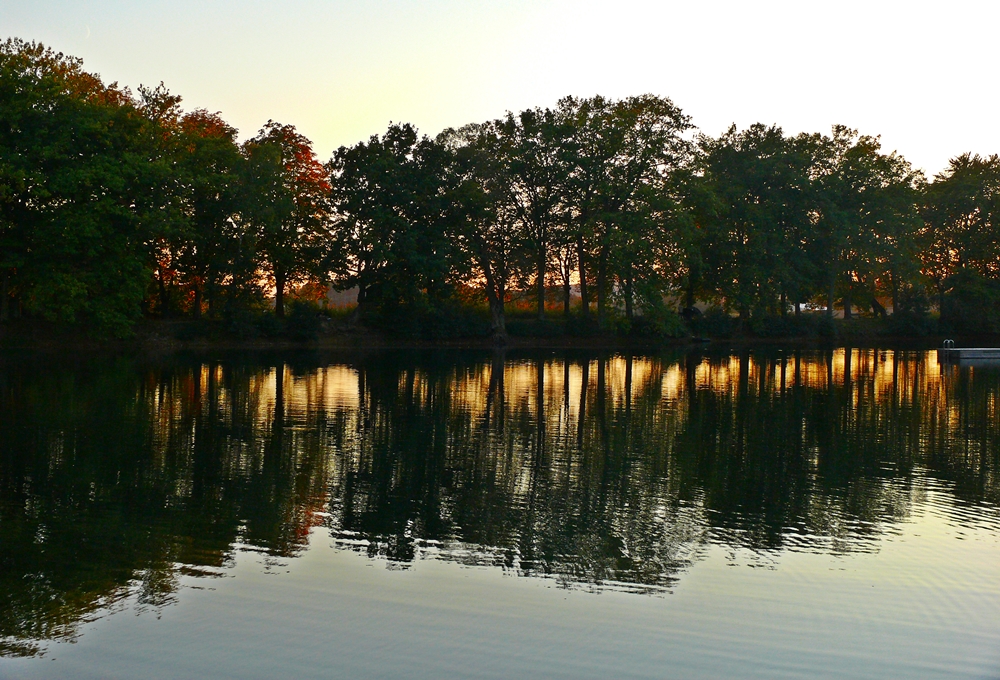 in der Abendsonne