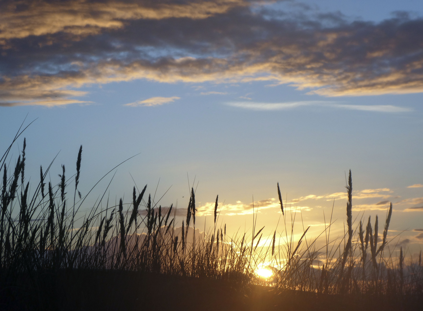 In der Abendsonne