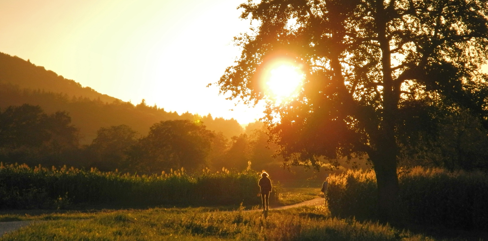 In der Abendsonne