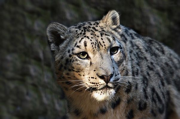 In der Abendsonne...