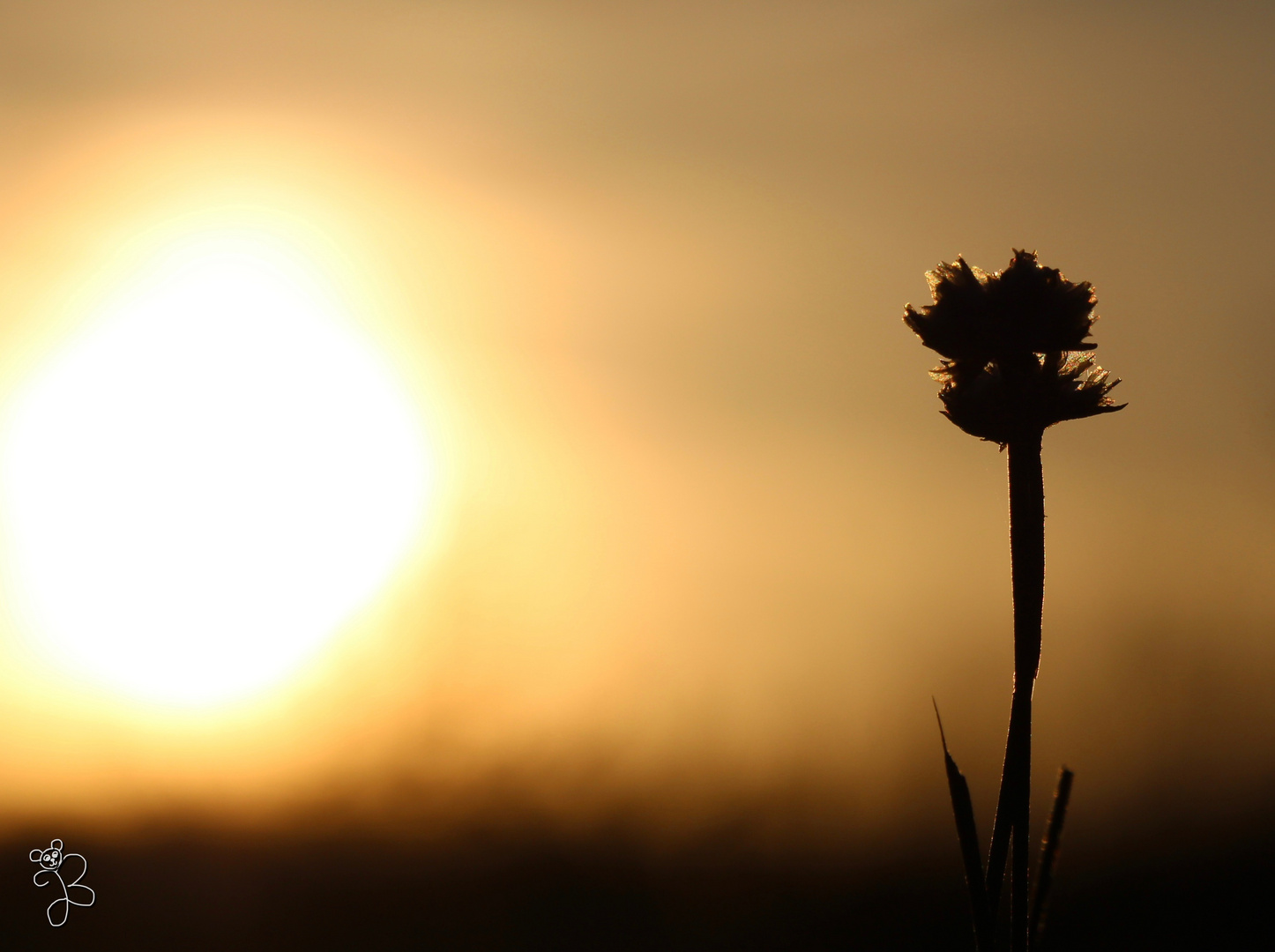 In der Abendsonne