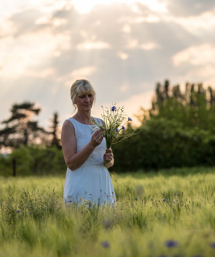 in der Abendsonne