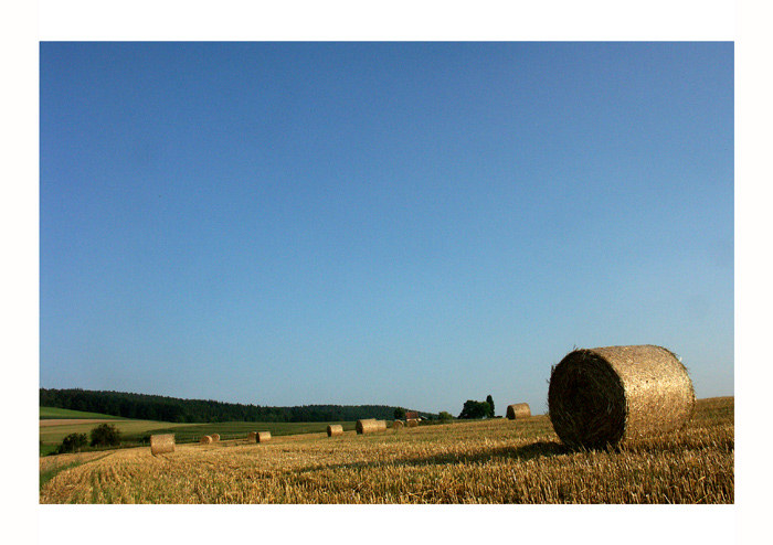 In der Abendsonne