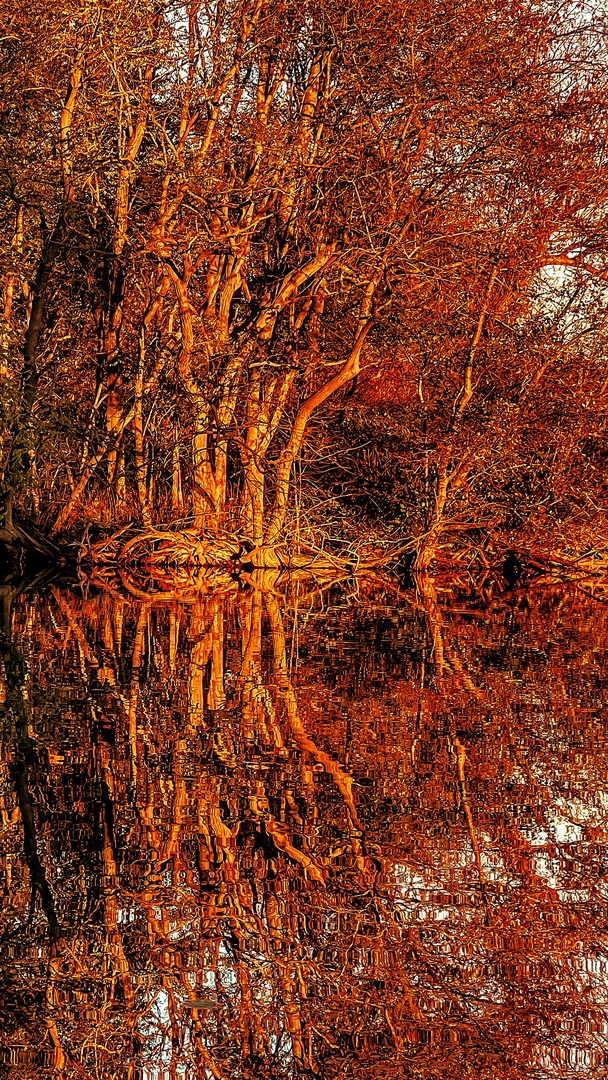 In der Abendsonne am See