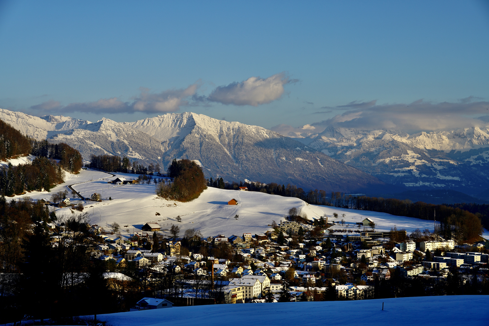 in der Abendsonne