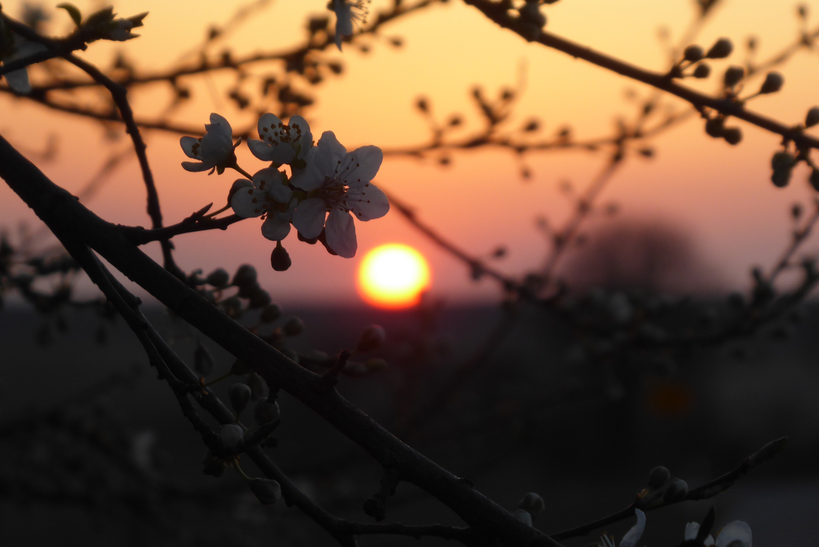 In der Abendsonne