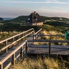  In der Abendsonne durch die Dünen