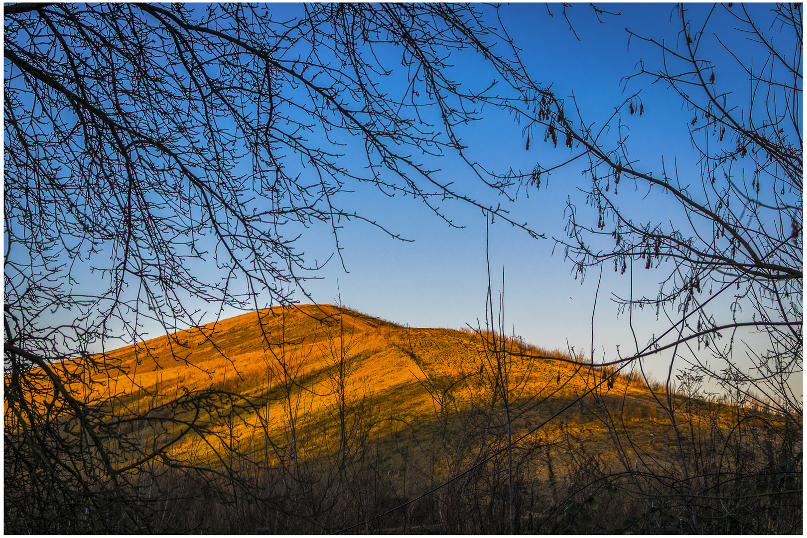 In der Abendsonne