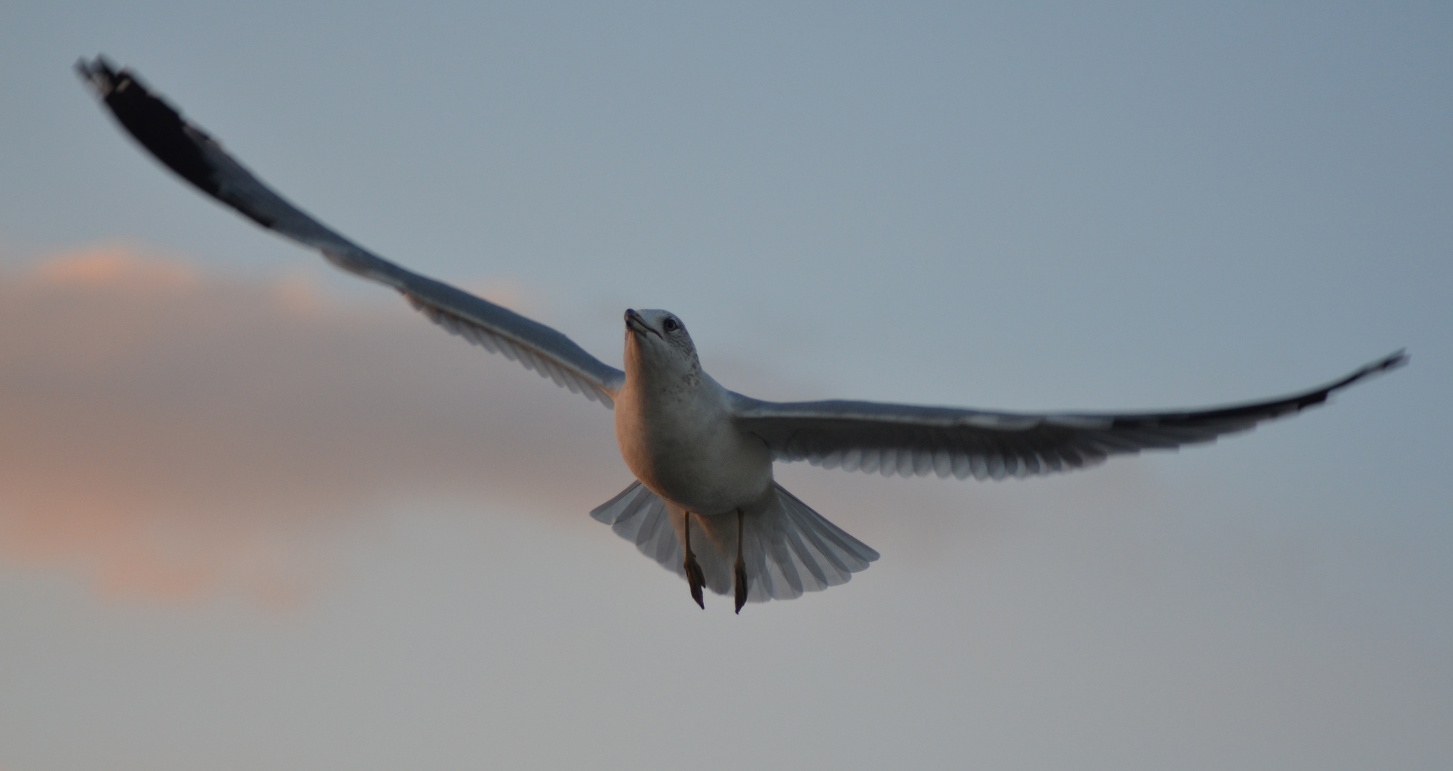 In der Abendsonne