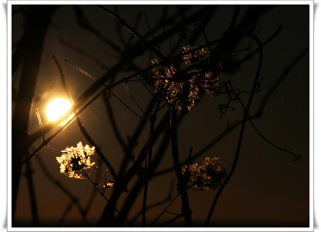 In der Abendsonne