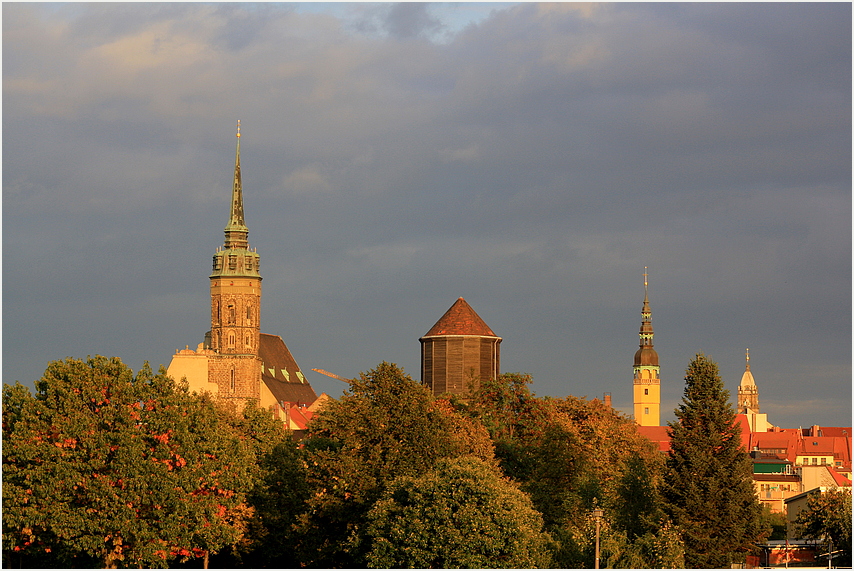 In der Abendsonne