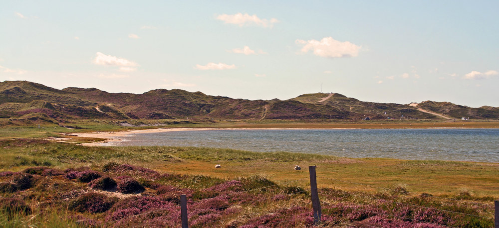 in der abendsonne meine freie rebuplik sylt - Listland