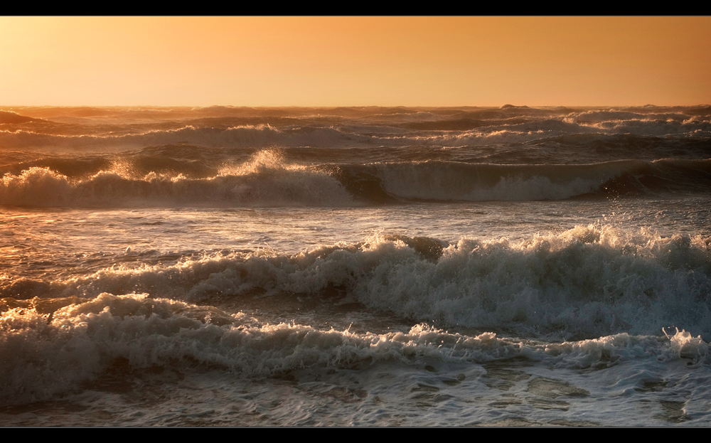 in der Abendssonne