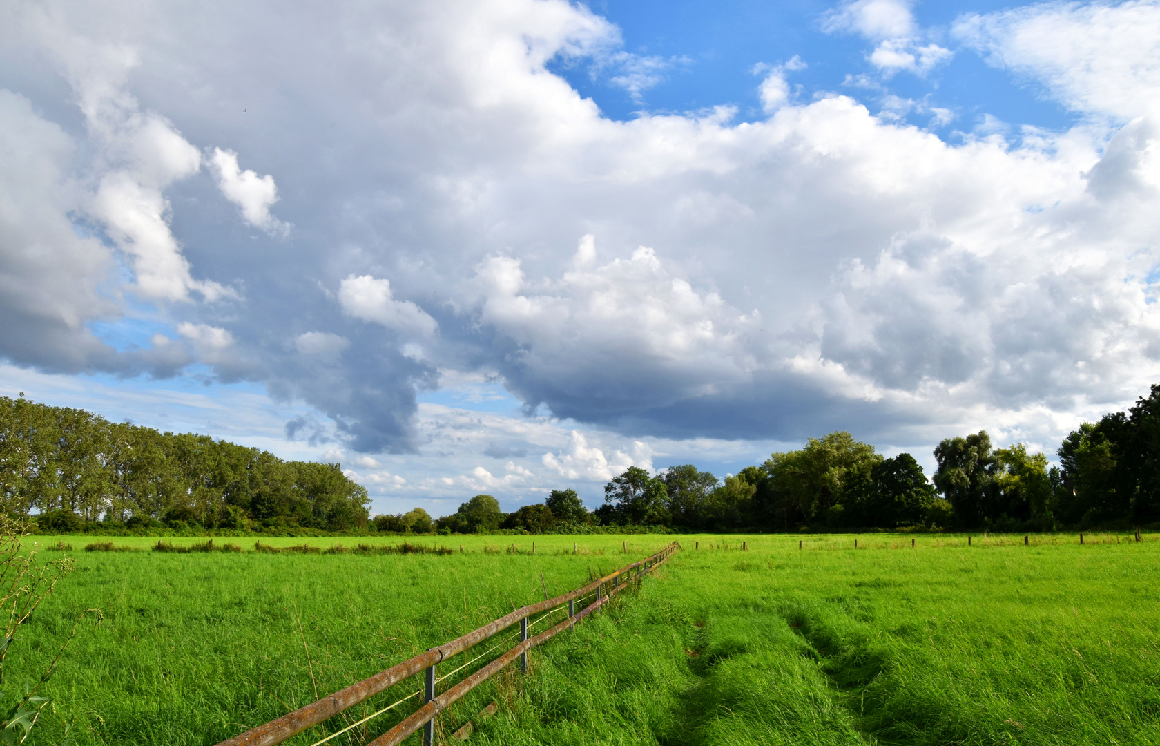 In der Ahremer Heide