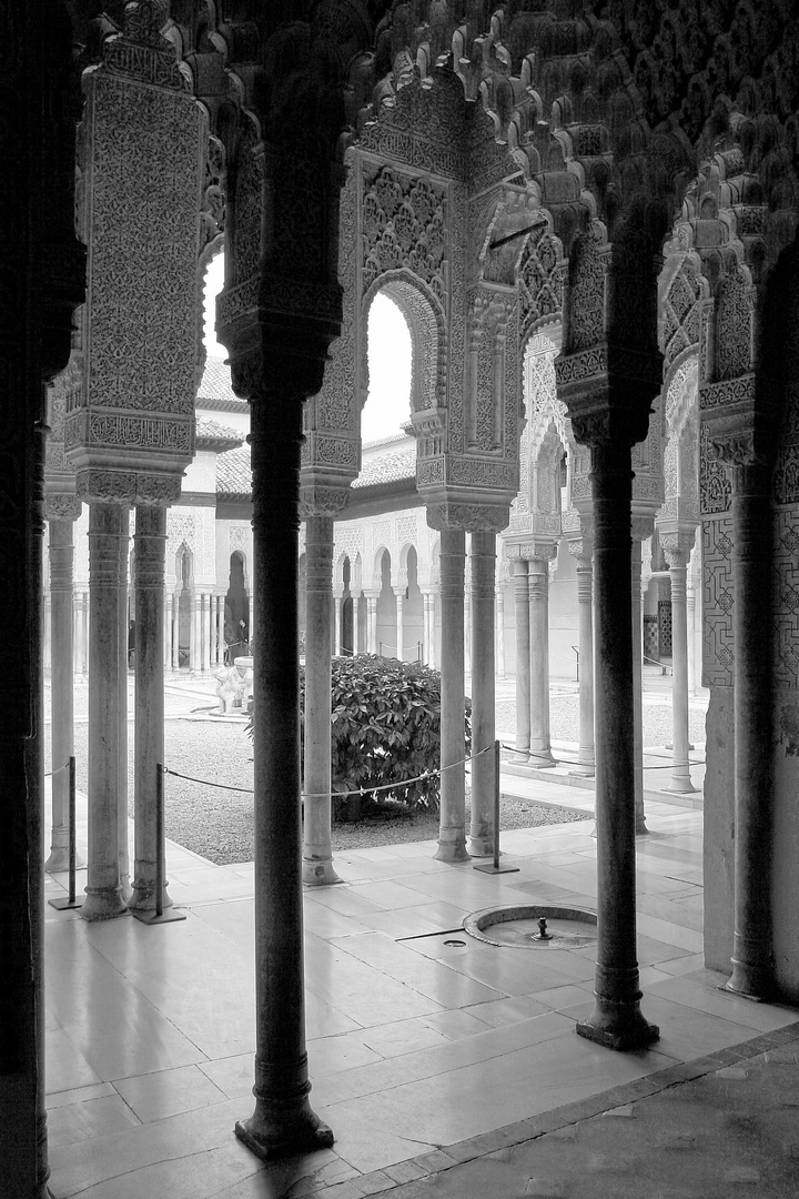 in der Alhambra (2) sw