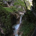 In der Almbachklamm (2019_09_10_6047_ji)