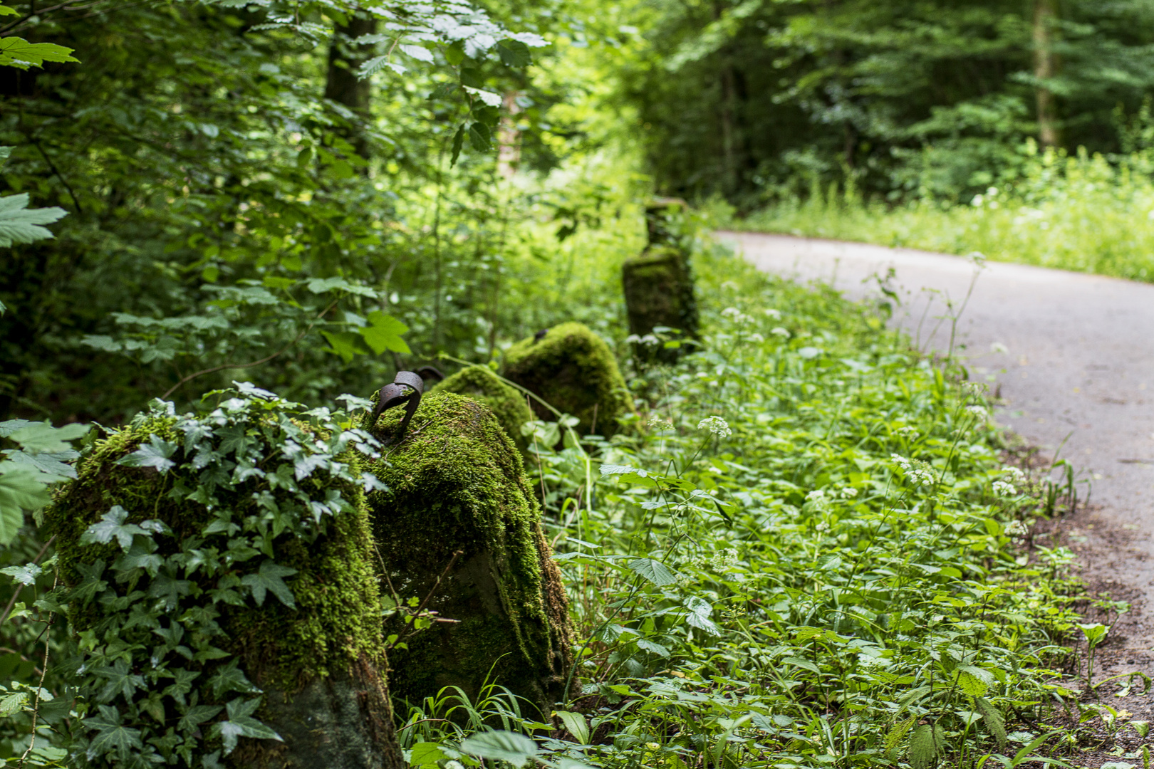 In der "alten Heimat" Teil V