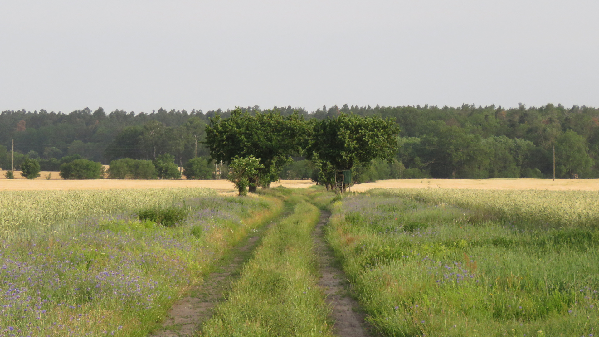 Bild von In der Altmark