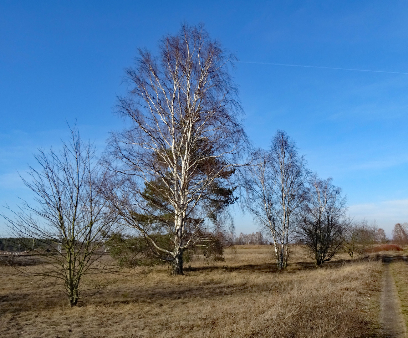 In der Altmark