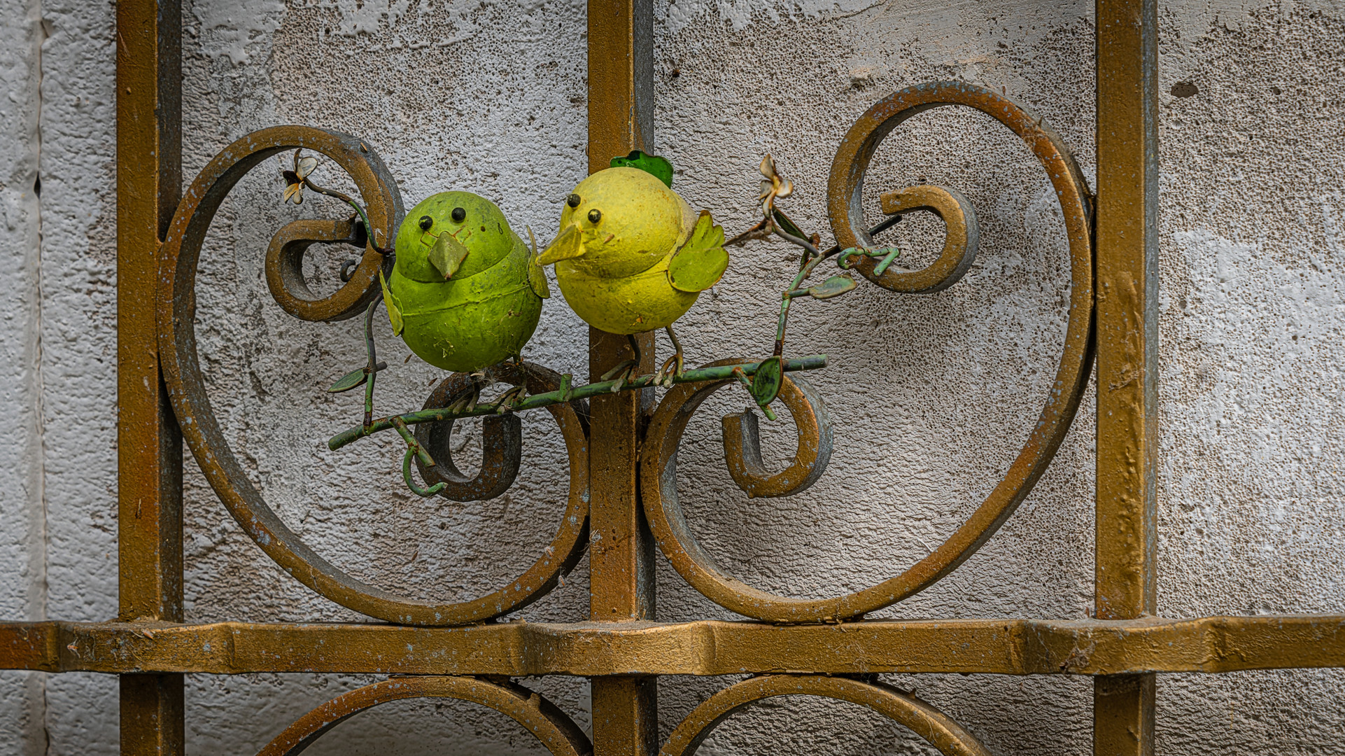 In der Altstadt entdeckt