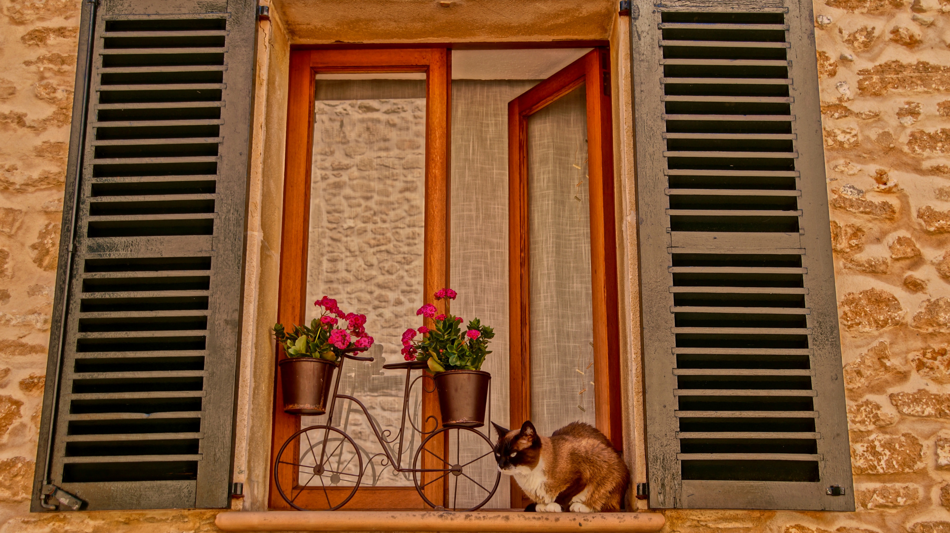 in der Altstadt von Alcudia gibt es schöne dekorierte Fenster