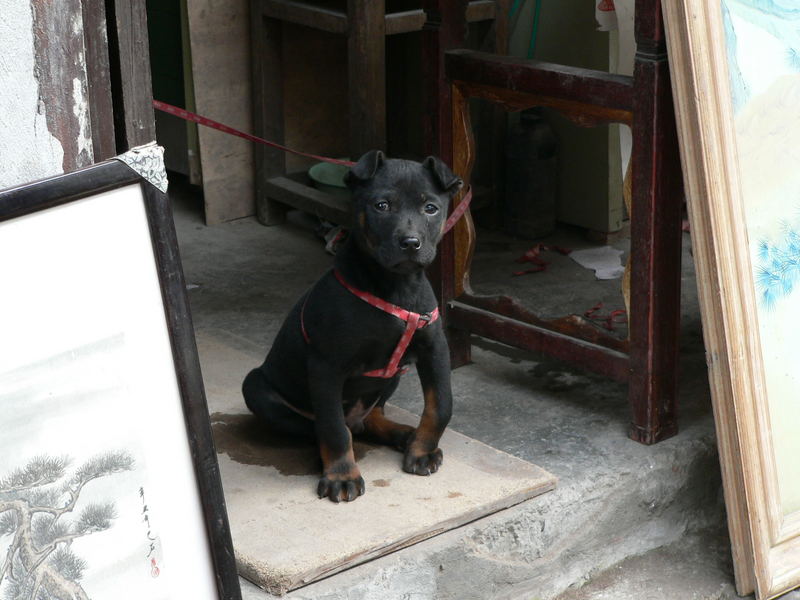 In der Altstadt von Chongqing