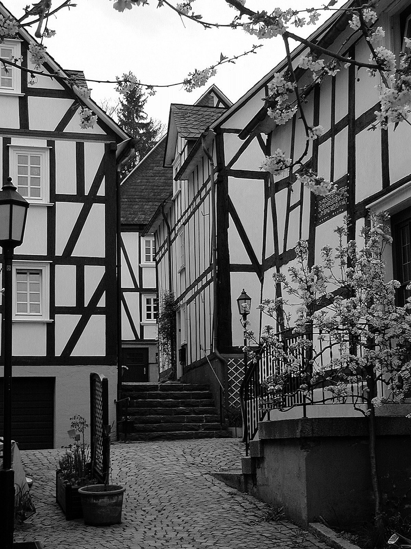 In der Altstadt von Freudenberg