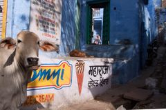 In der Altstadt von Jodhpur