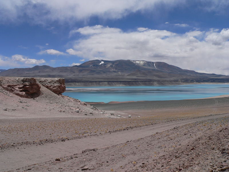 in der Atacama-Wüste auf 5000m Höhe