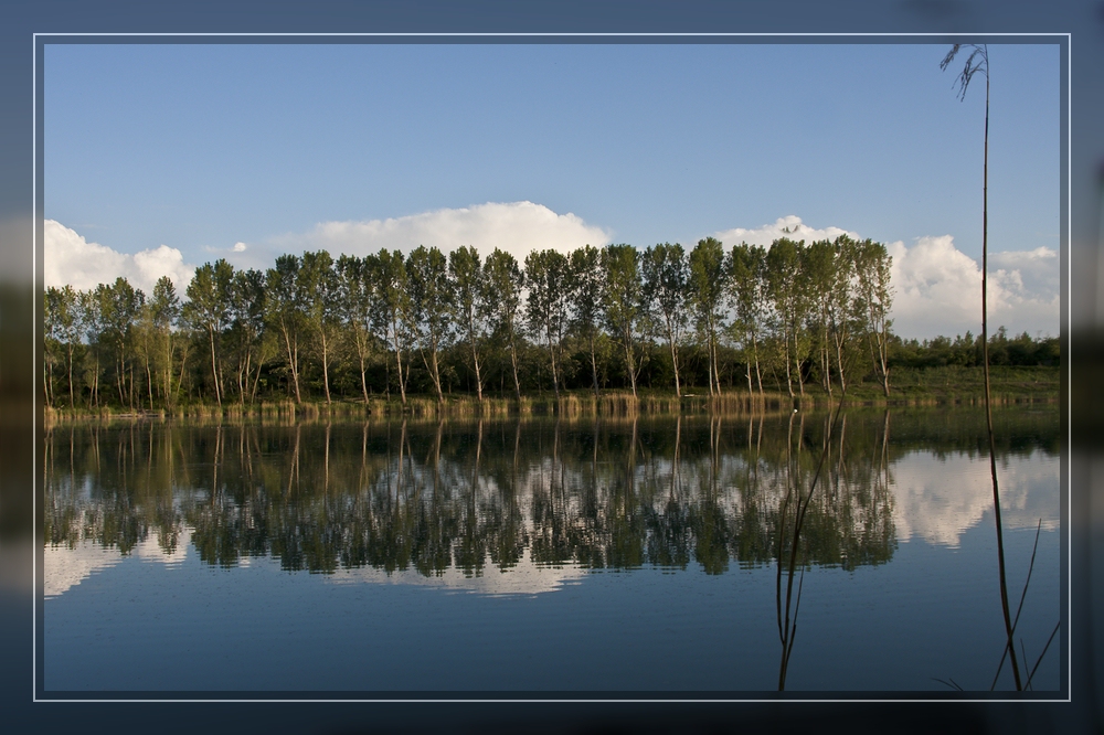 In der Au am Weiher 3