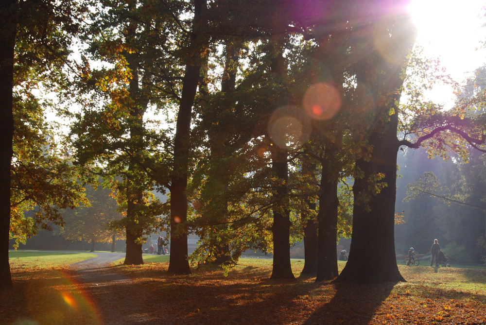 In der Aue im Herbst