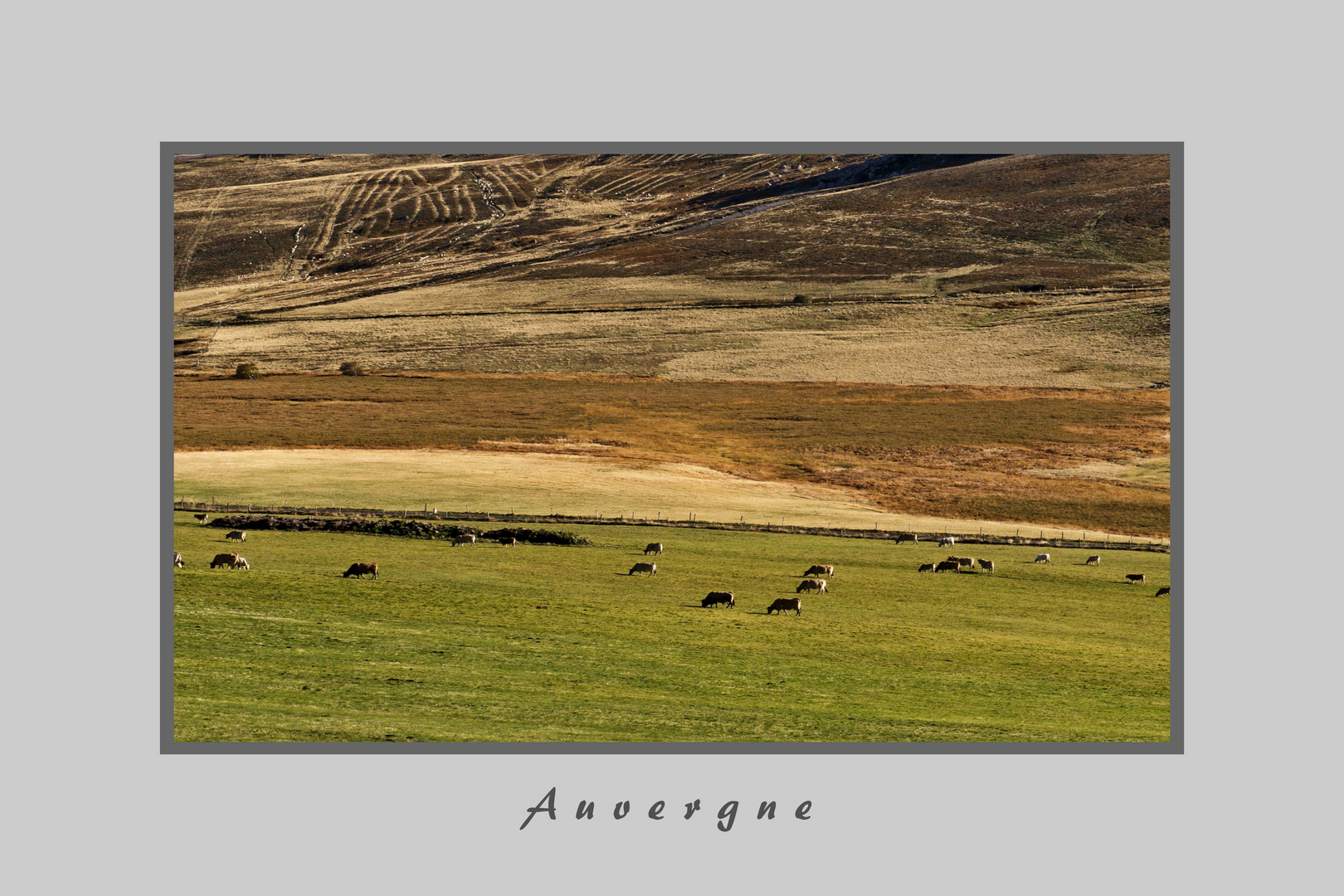 in der Auvergne